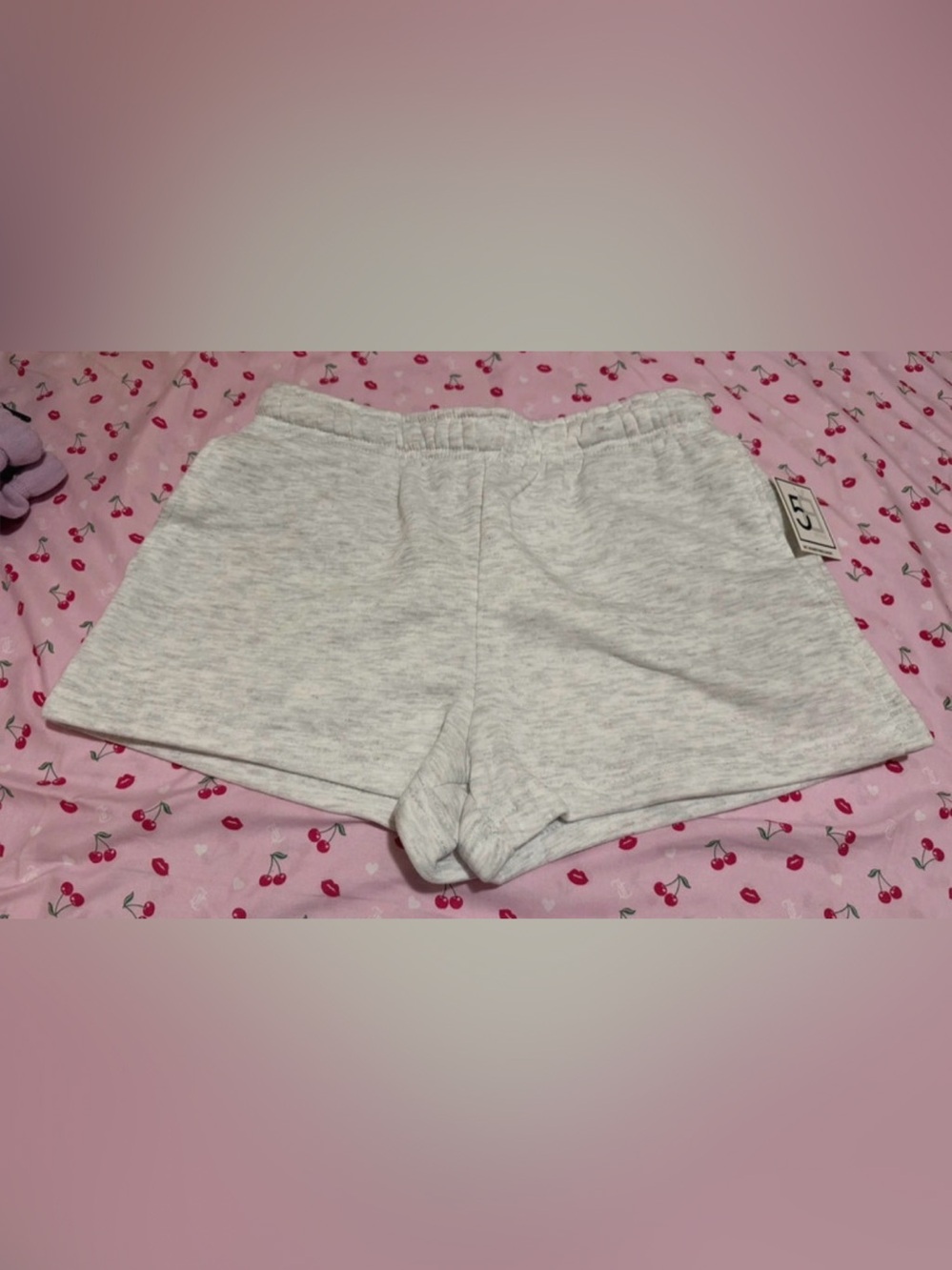 Gray Shorts Size Medium NWT
